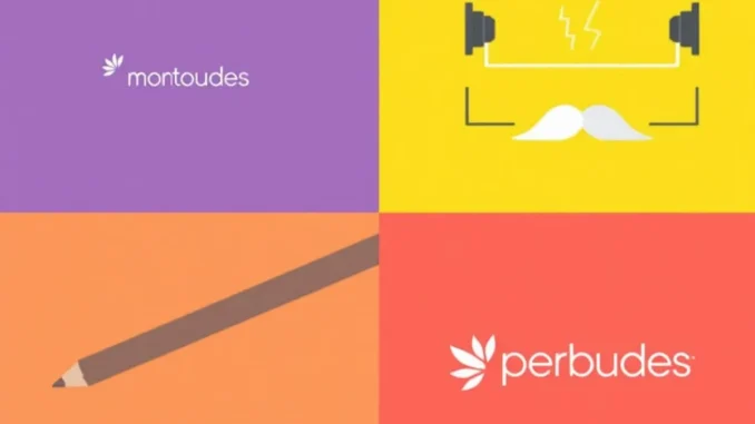montages-juridiques-